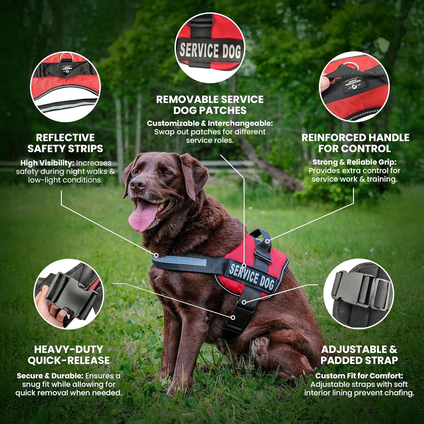 Professional Service Dog Vest and Leash Set with Adjustable Hook and Loop Straps - Available in Sizes XXS to XXL - Features Reflective Patch and Breathable Mesh Design (Pink, XXS)