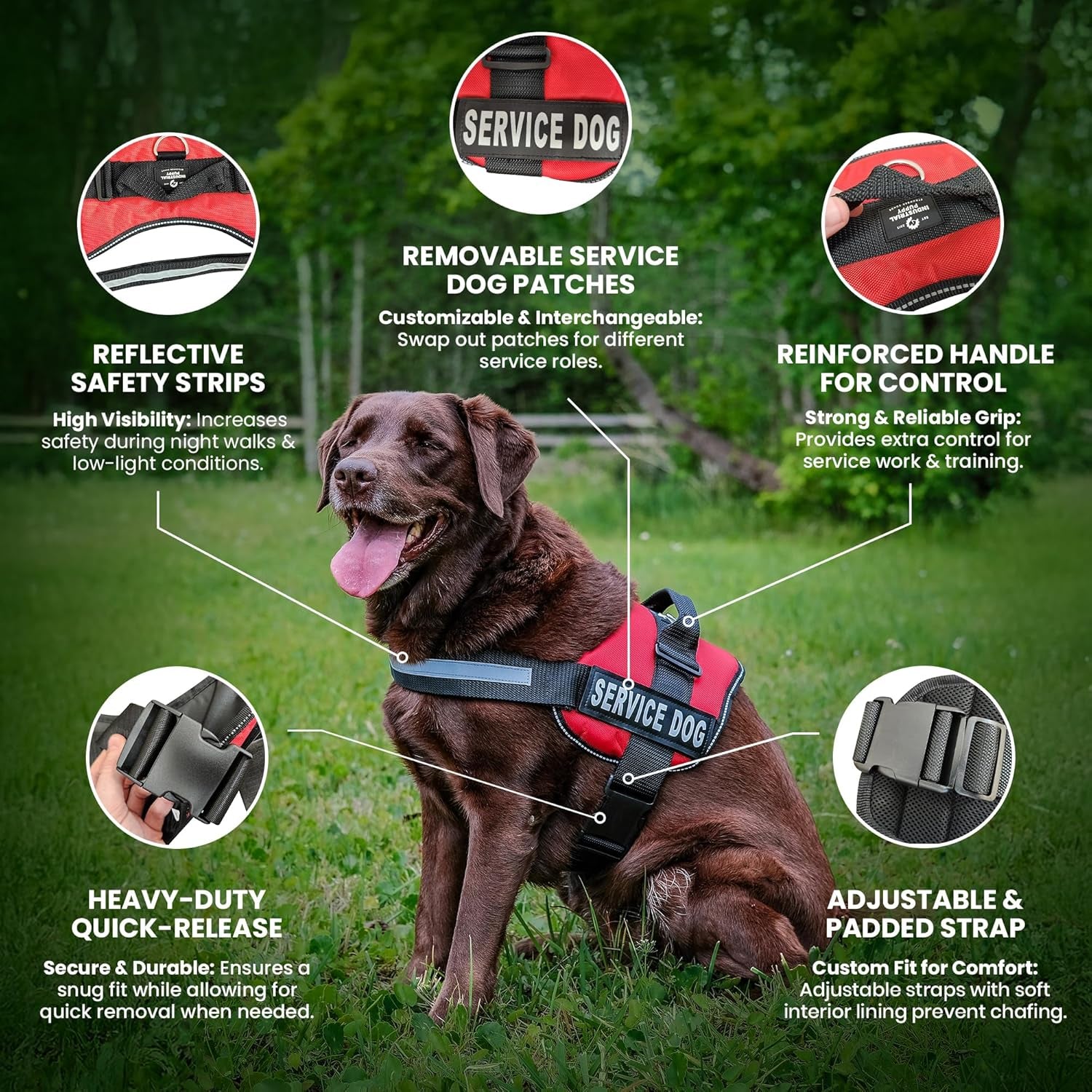 Professional Service Dog Vest and Leash Set with Adjustable Hook and Loop Straps - Available in Sizes XXS to XXL - Features Reflective Patch and Breathable Mesh Design (Pink, XXS)