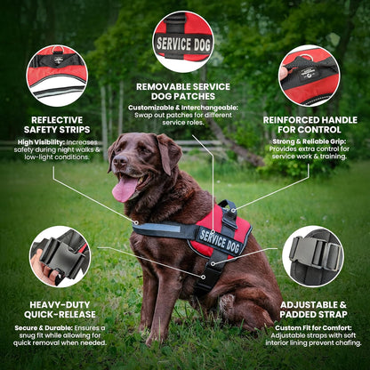 Professional Service Dog Vest and Leash Set with Adjustable Hook and Loop Straps - Available in Sizes XXS to XXL - Features Reflective Patch and Breathable Mesh Design (Pink, XXS)