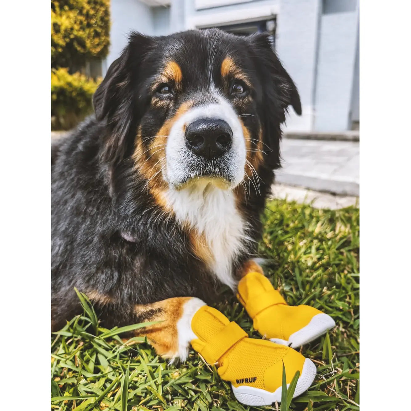 Rifruf Breathable Non-Slip Pet Sneakers - Set of 2 Lightweight Paw Protection Footwear for Dogs and Cats