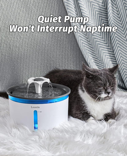 Automatic Pet Water Fountain, 85 Oz/2.5L Indoor Dispenser for Cats and Dogs with LED Lighting and Two Replacement Filters (Dark Gray)