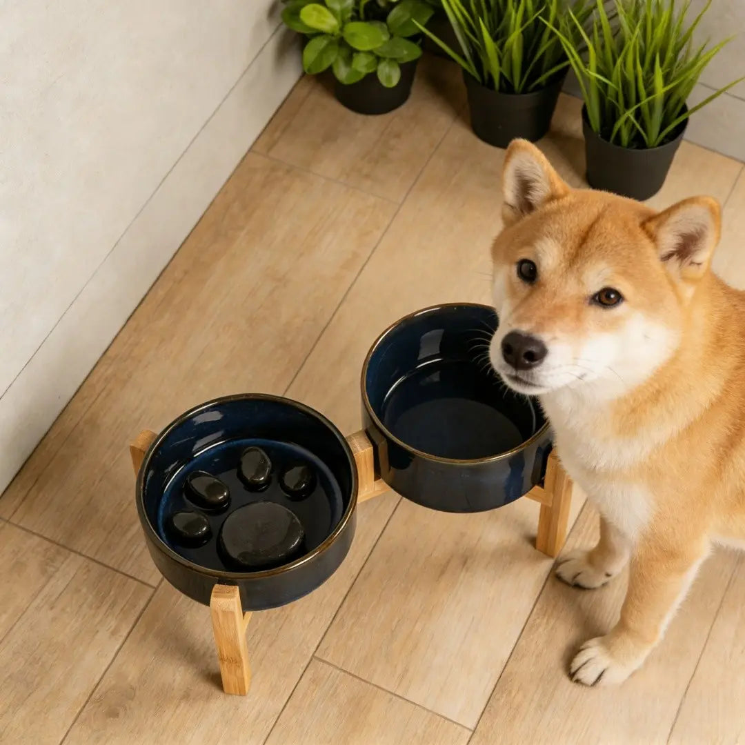Elevated Double Bowl Feeding Station with Bamboo Wood Stand and Ceramic Bowls for Dogs and Cats