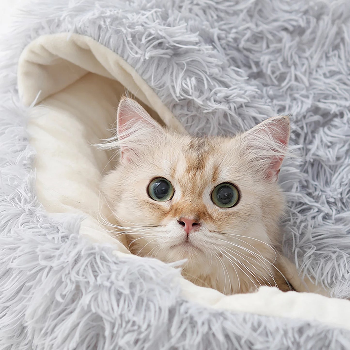 Calming Hooded Pet Bed and Cat Cave with Removable Washable Cover, Round Anti-Slip Faux Fur Bed for Small to Medium Pets Up to 11 lbs