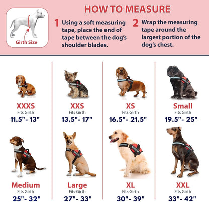 Professional Service Dog Vest and Leash Set with Adjustable Hook and Loop Straps - Available in Sizes XXS to XXL - Features Reflective Patch and Breathable Mesh Design (Pink, XXS)