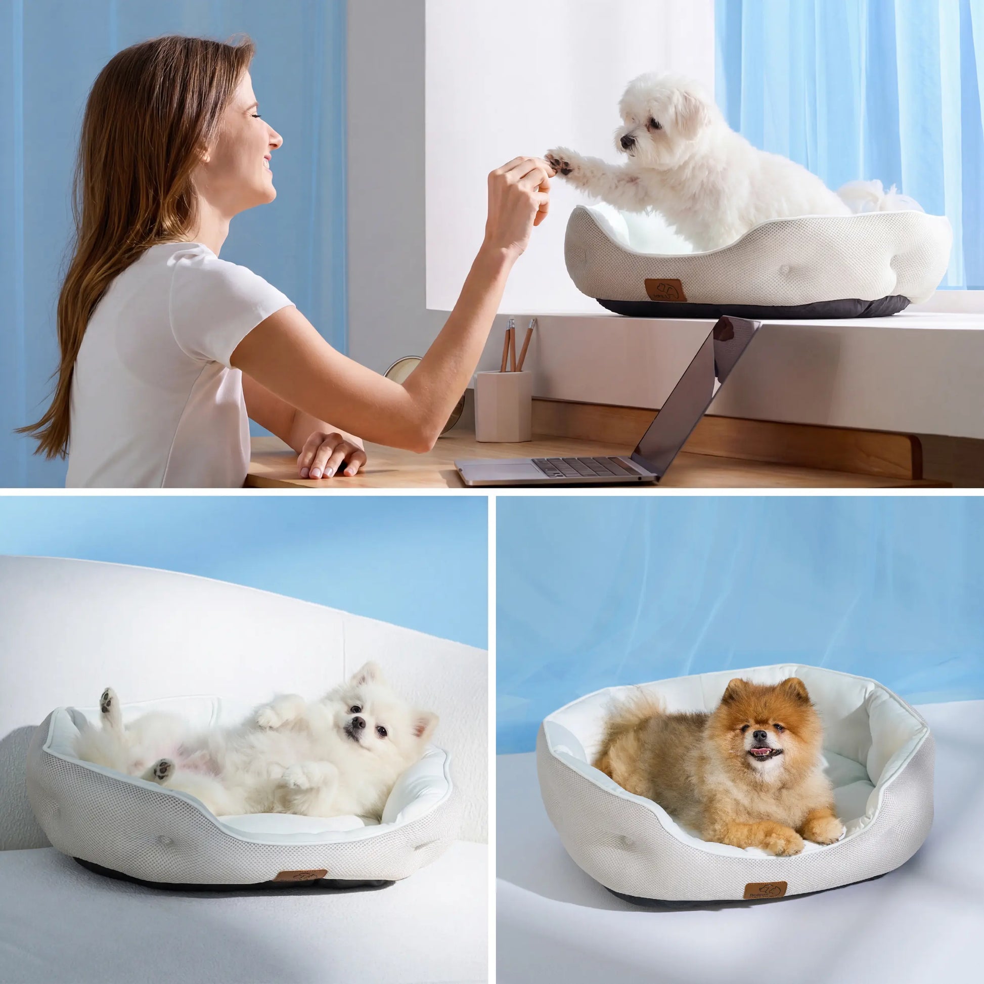 Bedsure Cooling Pet Beds for Small Dogs and Indoor Cats - Q-MAX>0.4 Washable Round Bed with Slip-Resistant Bottom for Puppies and Kittens