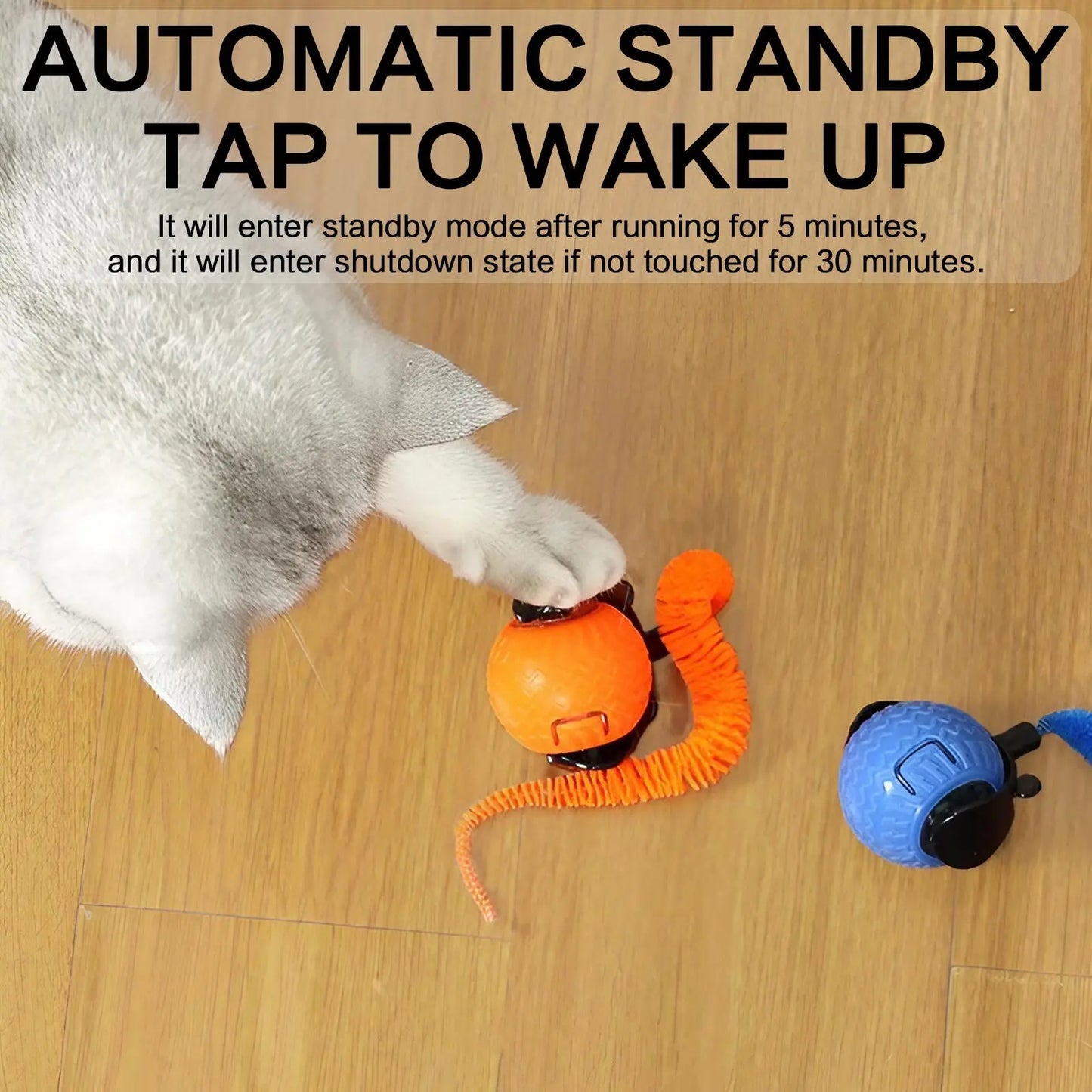 Rechargeable Interactive Cat Toy Ball - Durable Teaser for Indoor Play and Exercise (1 or 2 Count)