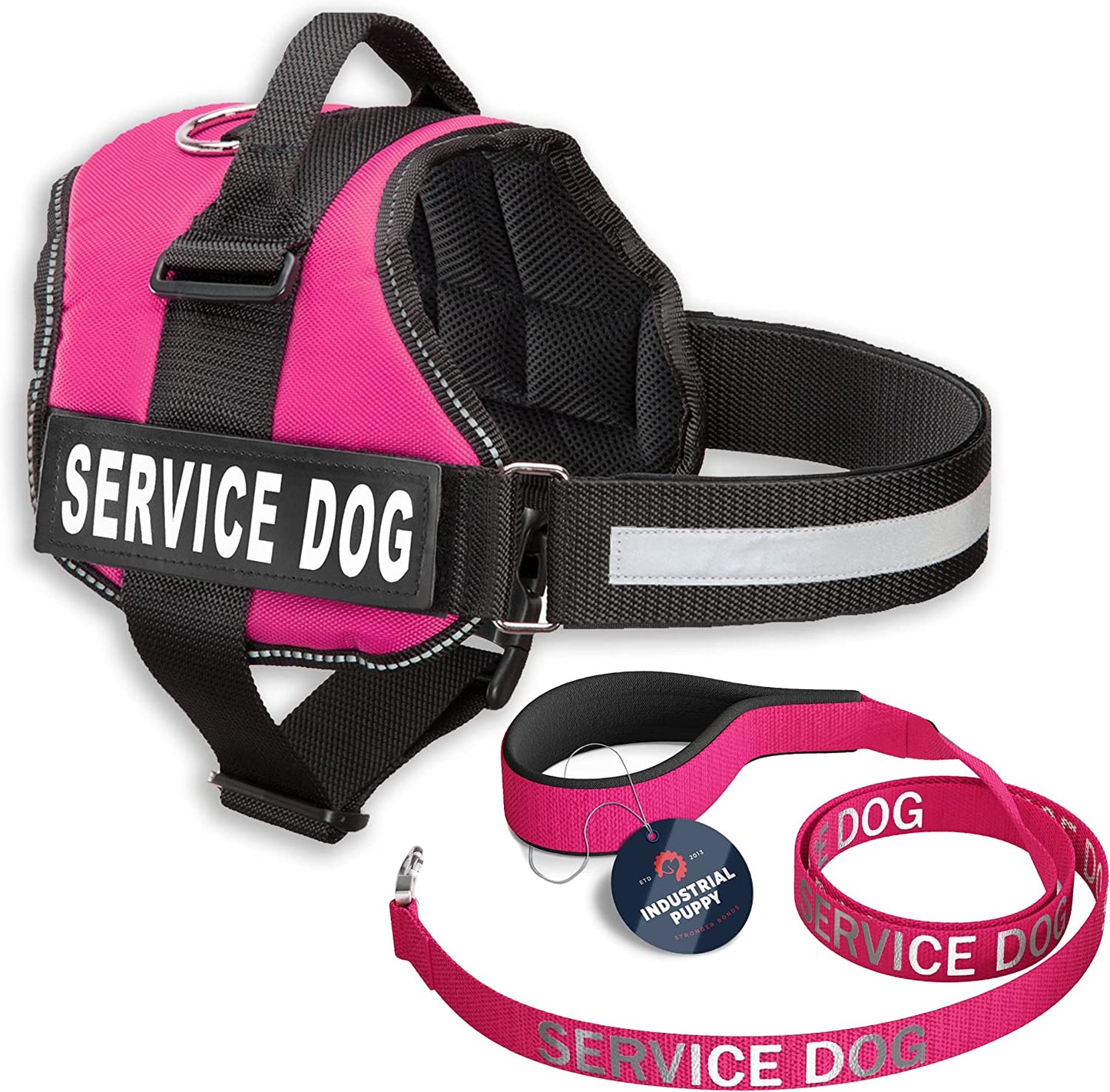 Professional Service Dog Vest and Leash Set with Adjustable Hook and Loop Straps - Available in Sizes XXS to XXL - Features Reflective Patch and Breathable Mesh Design (Pink, XXS)