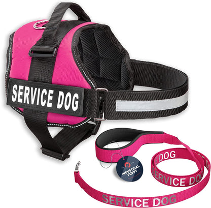 Professional Service Dog Vest and Leash Set with Adjustable Hook and Loop Straps - Available in Sizes XXS to XXL - Features Reflective Patch and Breathable Mesh Design (Pink, XXS)